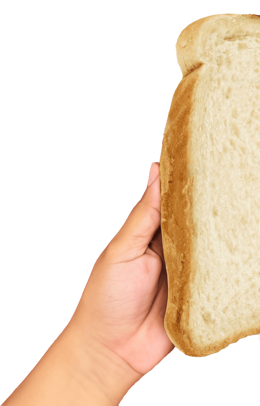 Left Hand holding bread