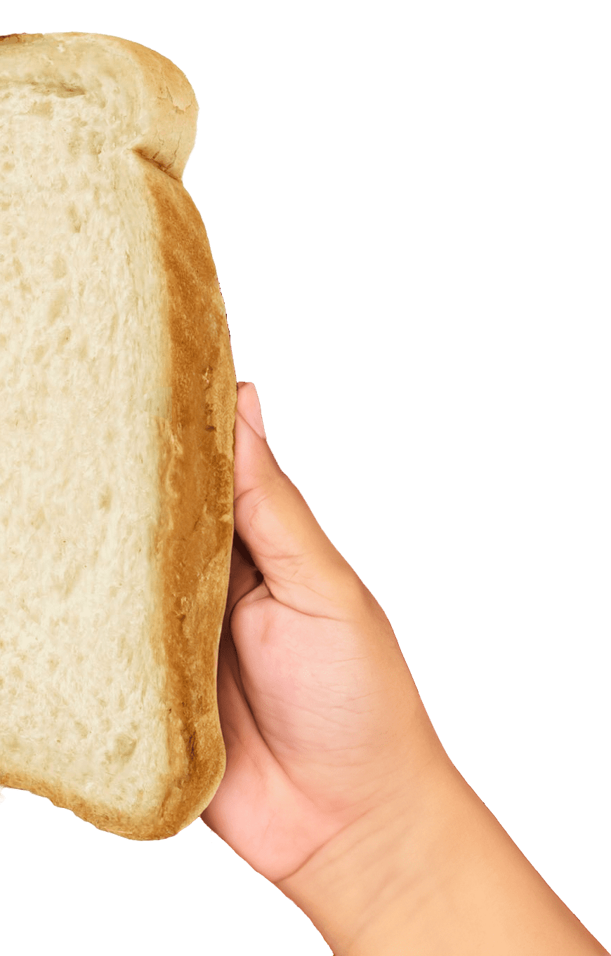 Right Hand holding bread